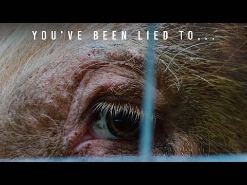 Hogwood: A Modern Horror Story'