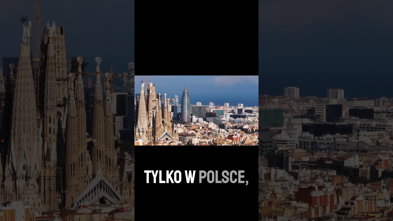 Kampania Estratos i Akcji Demokracja, powiązania międzynarodowe