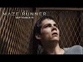 Button to run trailer #8 of 'The Maze Runner'