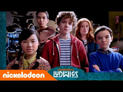 De Ludwigs'