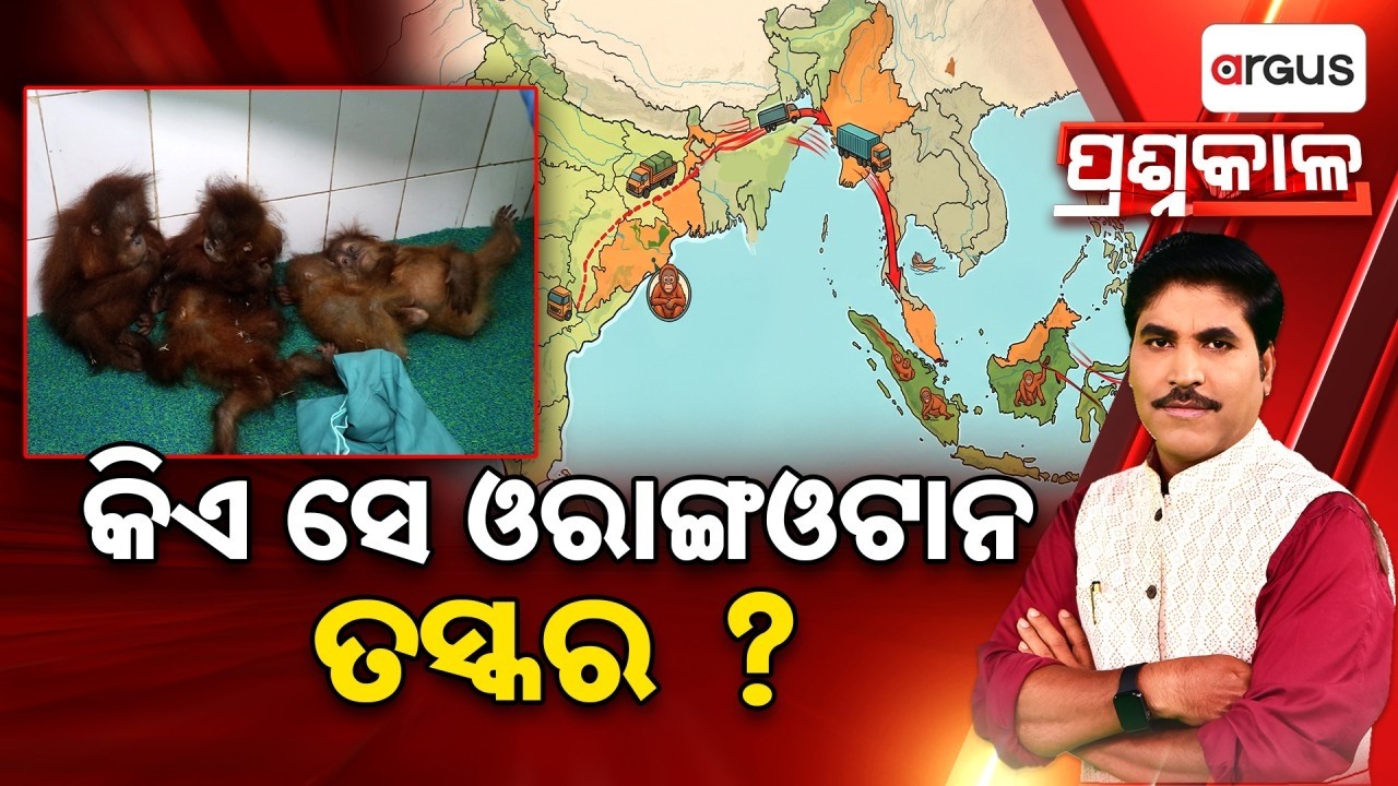 🔴Prashnakala Live | କିଏ ସେ ଓରାଙ୍ଗଓଟାନ ତସ୍କର? | Orangutan Smuggling | International Racket | Balasore
