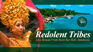 Redolent Live Stream from Rock Bar Bali 2023