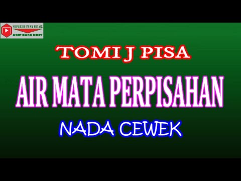 AIR MATA PERPISAHAN NADA CEWE (COVER) KARAOKE DANGDUT