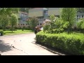 Miniatura video