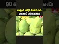 Noorjahan Mango : దేశంలో అత్యంత ఖరీదైన మామిడి ఇదే..! ధర తెలిస్తే షాక్ అవుతారు | hmtv