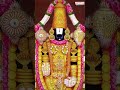Seeking solace in the serene gaze of Lord Balaji : #VenkateswaraMangalaHarathi #telugubhaktisongs  - 00:59 min - News - Video