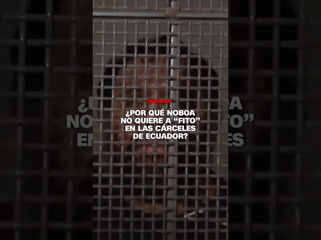 ¿Por qué Noboa no quiere a "Fito" en las cárceles de Ecuador?