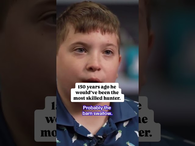 Samuel is amazing