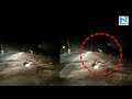 Man's close encounter with tiger caught on camera