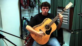 Pantera - Mouth For War (Cover by Sam Westphalen)