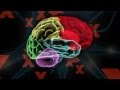 TEDxCaltech: The Brain - Teaser - 1/18/13