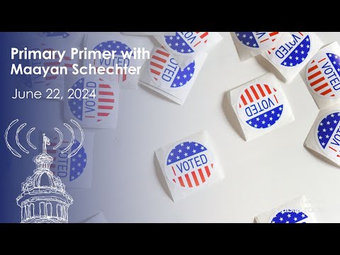 screenshot of youtube video titled Primary Primer with Maayan Schechter  | South Carolina Lede