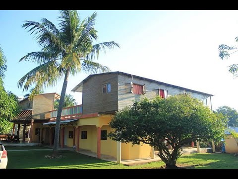 Property video