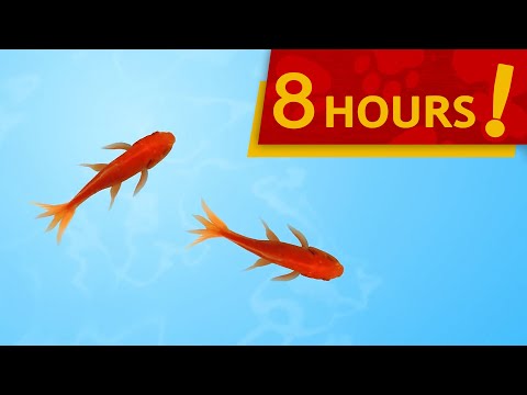 CAT GAMES - CATCHING FISH 8-HOUR VERSION (VIDEOS FOR CATS TO WATCH)