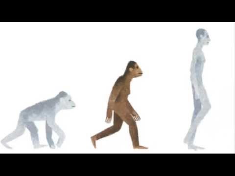 Who is Lucy the Australopithecus? - Google Doodle for the Discovery of Lucy