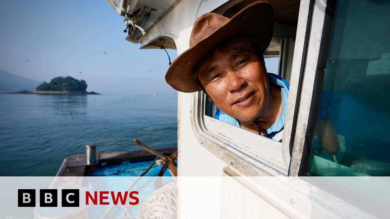 Is climate change to blame for rise in South Korea fishermen deaths? | BBC News