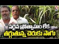 Sugar Cane Cultivation Drops In Sangareddy, Farmers Shows Interest To Cultivate Paddy, Cotton | V6