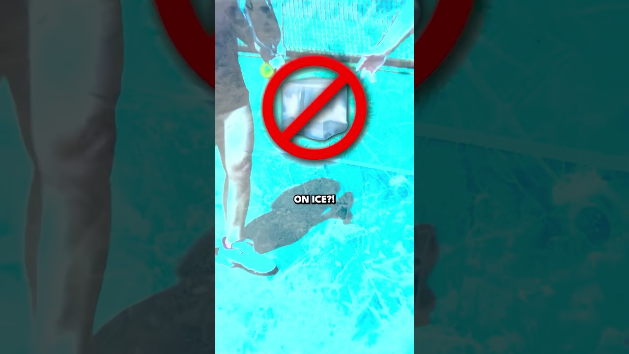 Who is Pickleball on Ice? 🧐