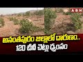 అనంతపురం జిల్లాలో దారుణం..120 చీనీ చెట్లు ధ్వంసం | Anantapur | ABN Telugu