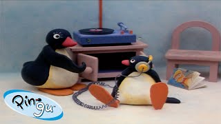 Pingu - sria 1