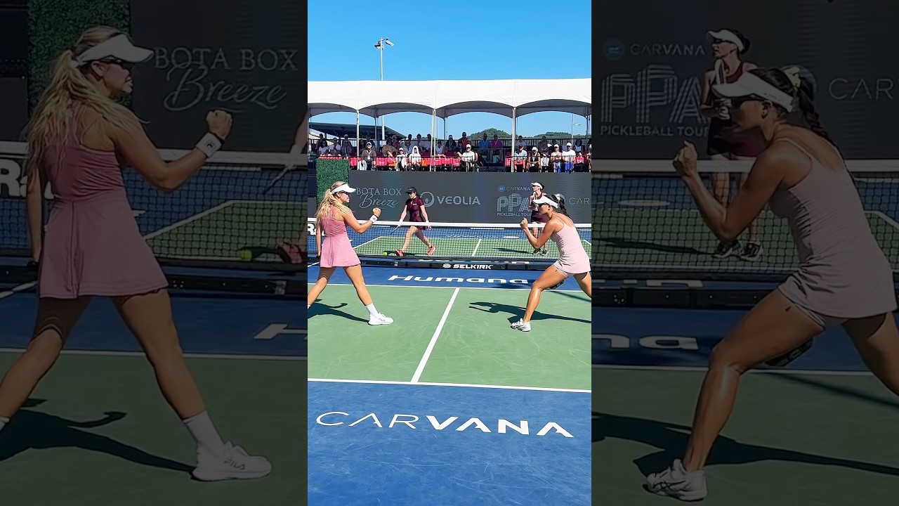 Fire breathing pickleball dragons 🐲