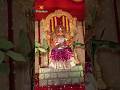 విద్యుత్ దీపాల వెలుగుల్లో కామాక్షి అమ్మవారి దర్శనం 🙏🕉️ #kamakshi #decoration #kotideepotsavam