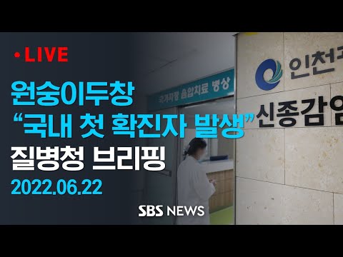 '원숭이두창' 국내  첫 확진자  발생 - 질병관리청 브리핑 / SBS
