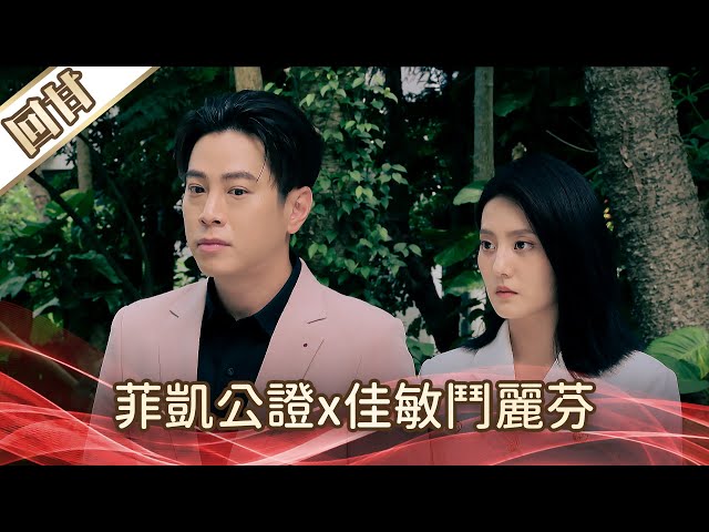 《好戲回甘》好運來 EP137 菲凱公證x佳敏鬥麗芬