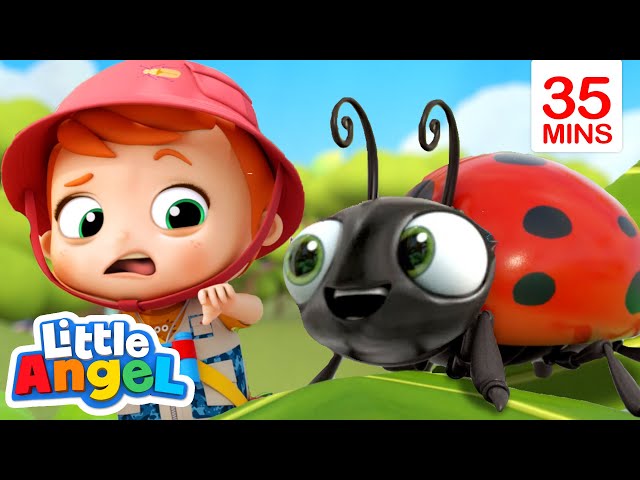 Bugs, Bugs, Go Away Bugs! + More | Little Angel Kids Songs & Nursery Rhymes