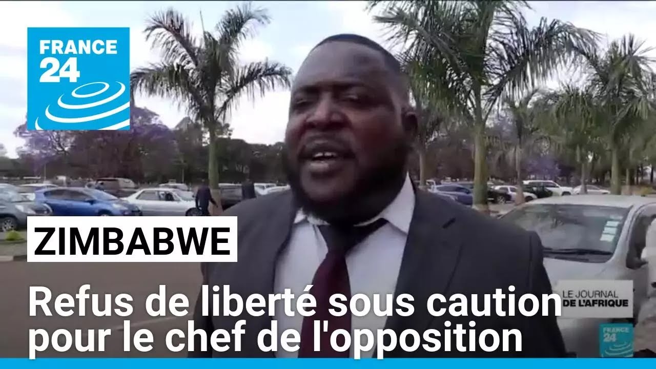 Zimbabwe : refus de liberté sous caution pour le chef de l'opposition • FRANCE 24