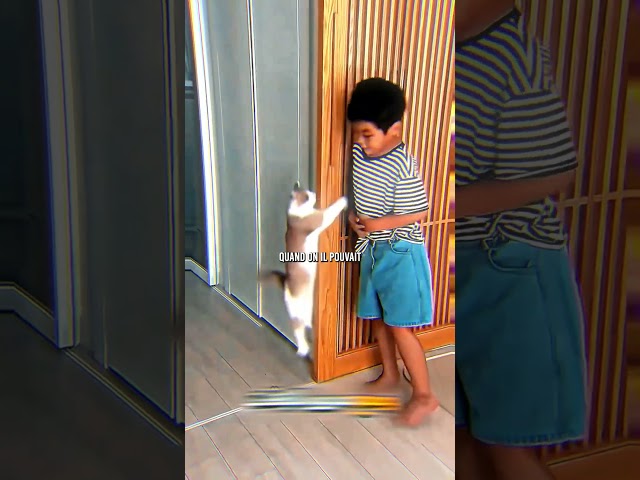 🫡 Son chat se cachait pour lui faire peur…