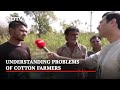 Despite Alternatives, BJP Ends Up Winning: Gujarat Cotton Farmers | Verified