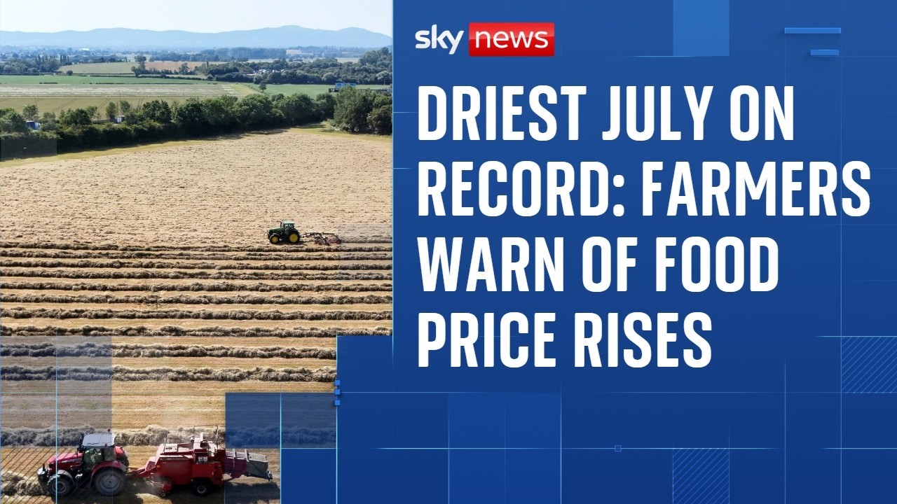 Driest July on record: Why farmers are warning of likely food price rises
