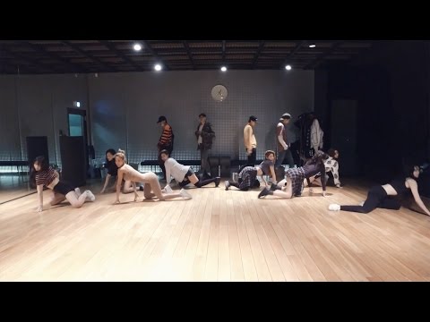 WINNER - REALLY REALLY Dance Practice (Mirrored)