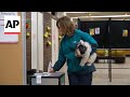 Lithuanians cast their votes in presidential election