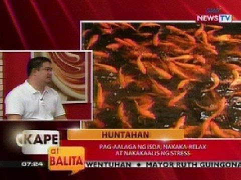 KB: Huntahan: Pag-aalaga ng isda, nakakarelax at nakakaalis ng stress