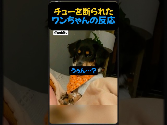 ワンチャンのチューを断ったら？