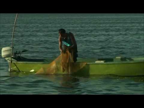 I cavalieri della laguna'