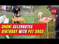 MS Dhoni celebrates birthday with pet dogs, video goes viral