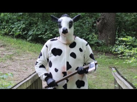 Mad Cow Massacre'