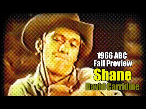 Shane'
