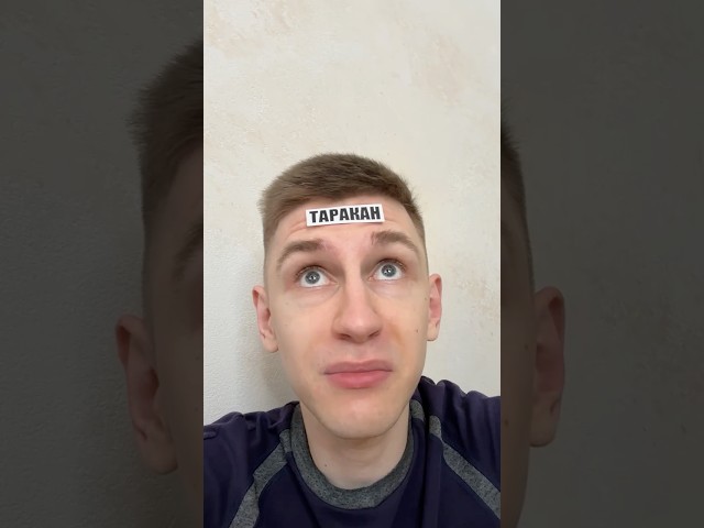 ТАРАКАН ШПИОН