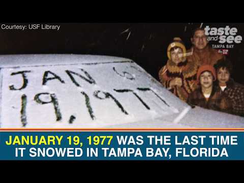 В Маями, щата Флорида, завинаги ще запомнят тази дата, защото през 1977 г. на този ден за първи път в известната история на града пада ... сняг.