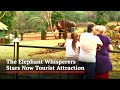 The Elephant Whisperers Stars Now Tourist Attraction After Oscar Win