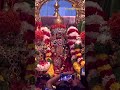శ్రీదేవీ భూదేవీ సమేత తిరుమల శ్రీ వేంకటేశ్వర స్వామి ఉత్సవమూర్తుల ఊరేగింపు #kotideepotsavam #bhakthitv  - 00:41 min - News - Video