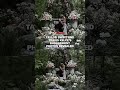 Taylor Swift and Travis Kelce’s engagement photos revealed  - 00:20 min - News - Video