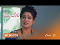 MEGHASANDESAM | విక్రమ్ హత్యలో అపూర్వఉందని భూమి అంటుందా..?