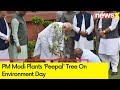 PM Modi Plants Peepal Tree on Environment Day at Buddha Jayanti Park | NewsX