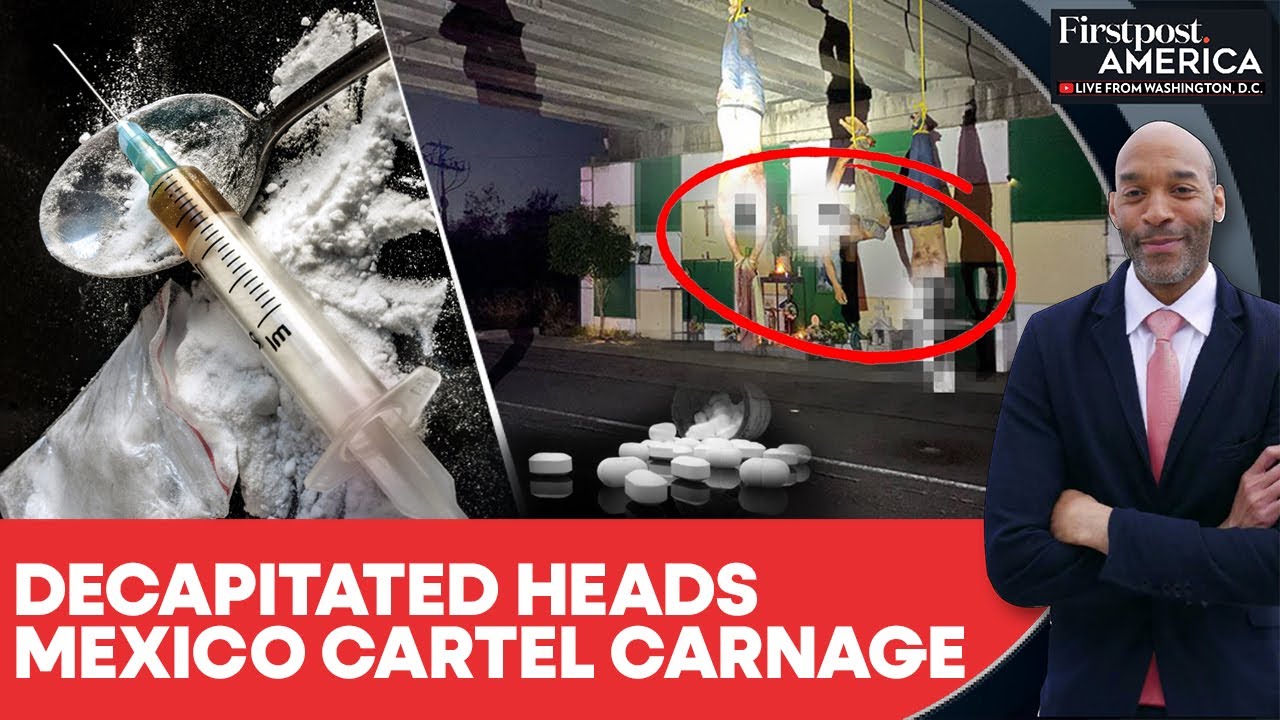 Mexico Cartel War Intensifies, Decapitated Bodies Found in Sinaloa | Firstpost America | N18G