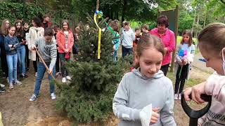 Miniatura video